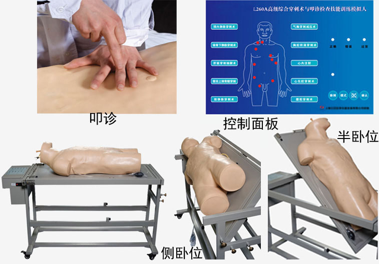 高級綜合穿刺術(shù)與叩診檢查技能訓(xùn)練模擬人
