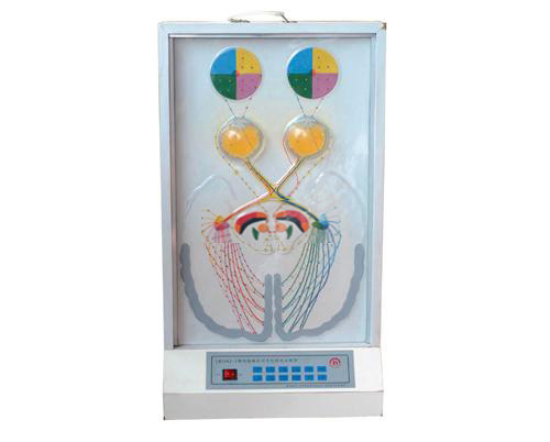視覺傳導(dǎo)瞳孔對(duì)光反射電動(dòng)模型