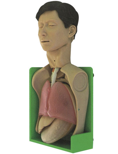 透明洗胃、胃腸減壓仿真標(biāo)準(zhǔn)化病人